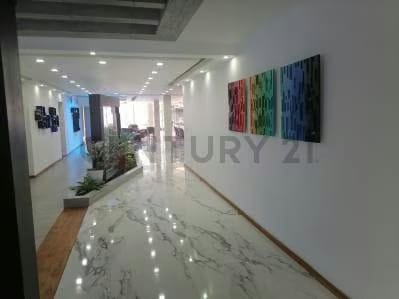 Exquisita Quinta Recién Remodelada en Prados del Este - 3