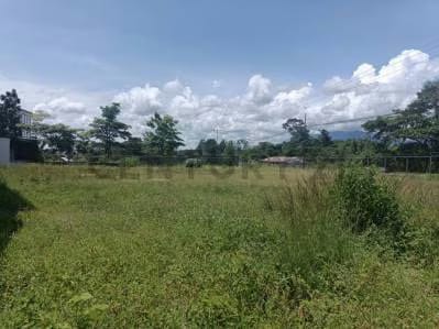 Venta Edificio Comercial el Piñal - 10