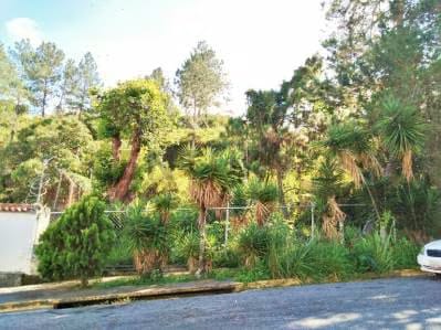 Se ofrece en venta terreno en zona residencial, ubicado en la urbanización Piedra Azul, mu