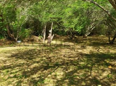 Terreno con Pozo de Agua - 3