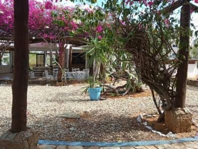 Hotel playa El Yaque - 10