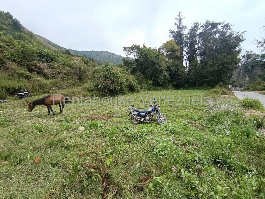 Terreno (Comercial) en Venta en Cacute, Merida - 2