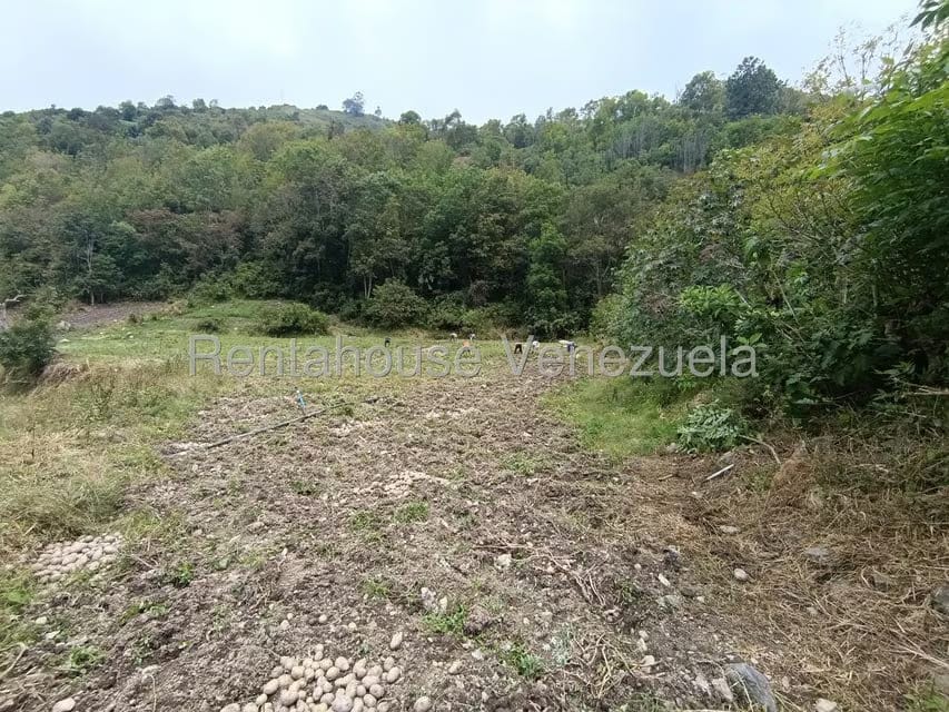 Terreno (Comercial) en Venta en Cacute, Merida - 11
