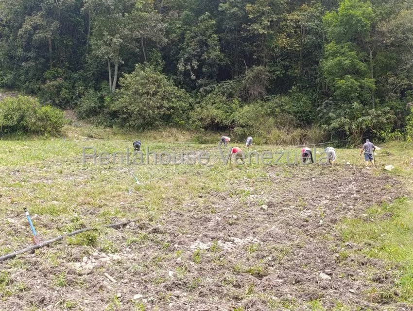 Terreno (Comercial) en Venta en Cacute, Merida - 12