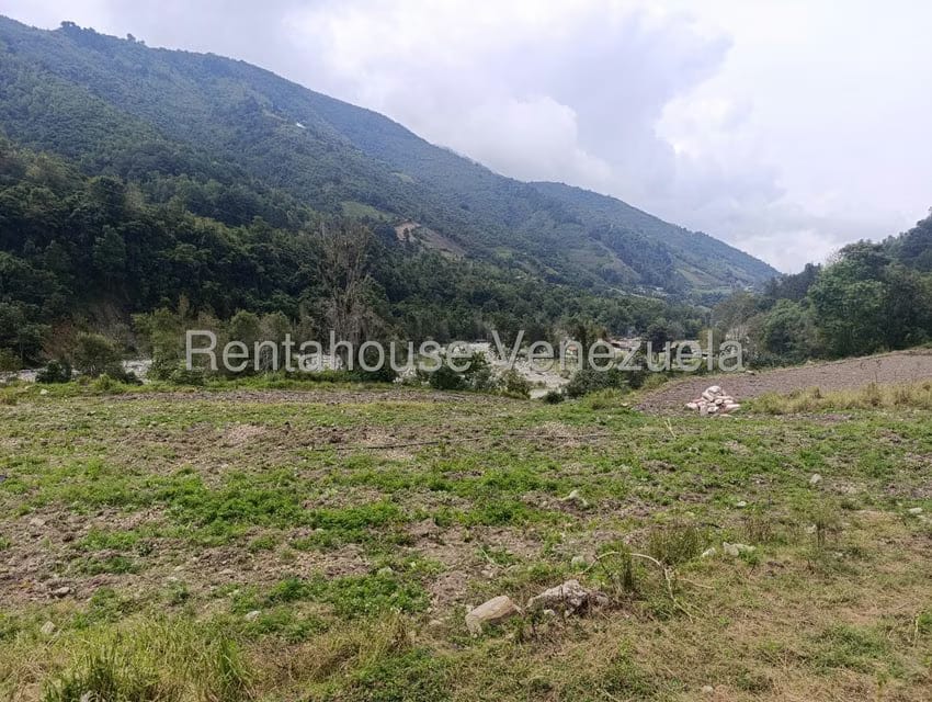 Terreno (Comercial) en Venta en Cacute, Merida - 13