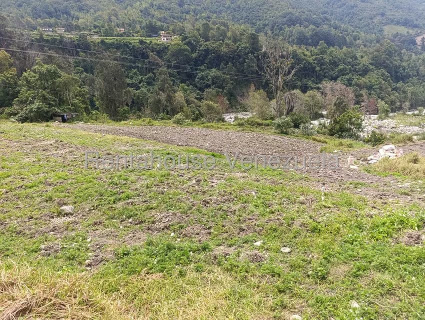 Terreno (Comercial) en Venta en Cacute, Merida - 14