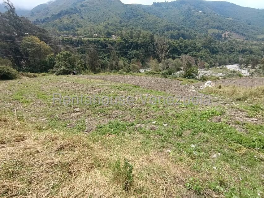 Terreno (Comercial) en Venta en Cacute, Merida - 15