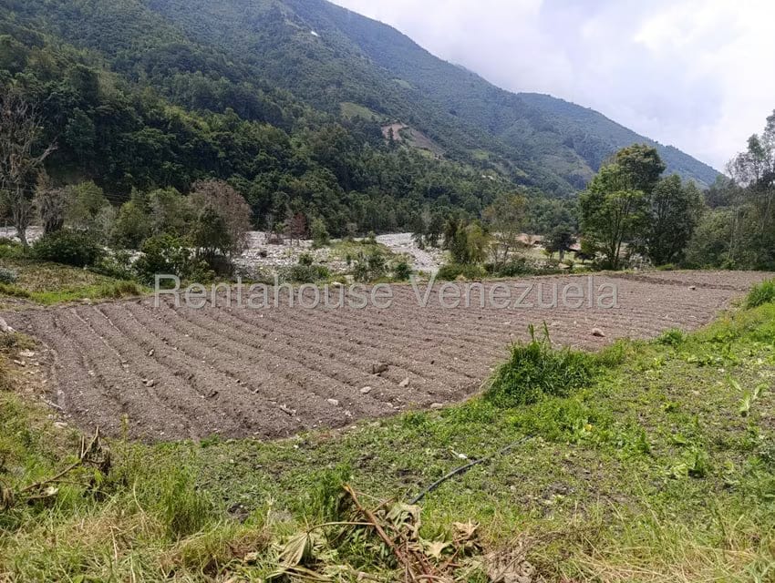 Terreno (Comercial) en Venta en Cacute, Merida - 16