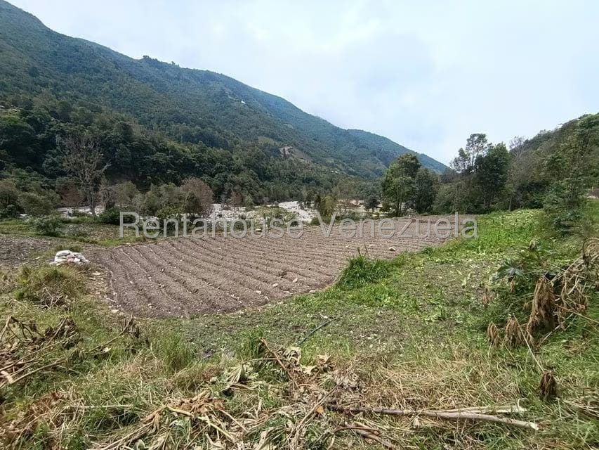 Terreno (Comercial) en Venta en Cacute, Merida - 17