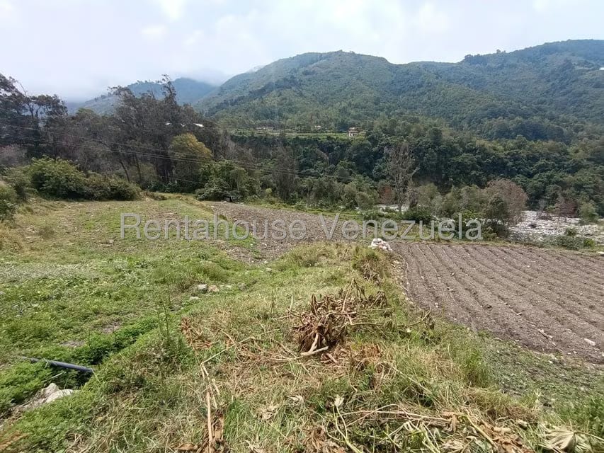 Terreno (Comercial) en Venta en Cacute, Merida - 18