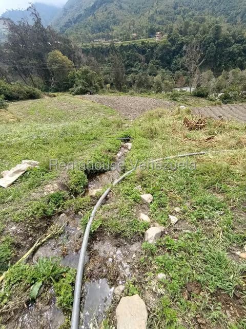 Terreno (Comercial) en Venta en Cacute, Merida - 19