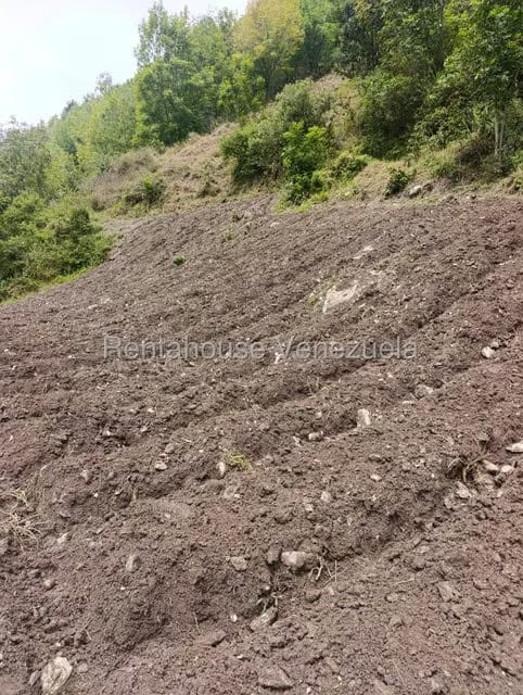 Terreno (Comercial) en Venta en Cacute, Merida - 20