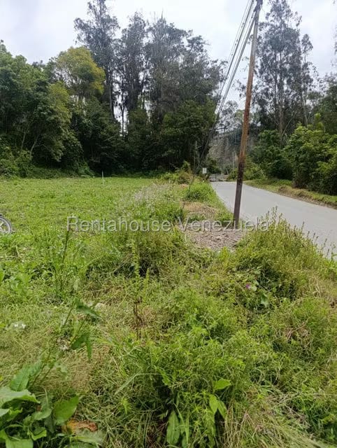 Terreno (Comercial) en Venta en Cacute, Merida - 3