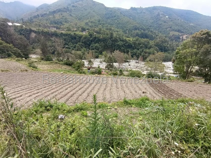 Terreno (Comercial) en Venta en Cacute, Merida - 21