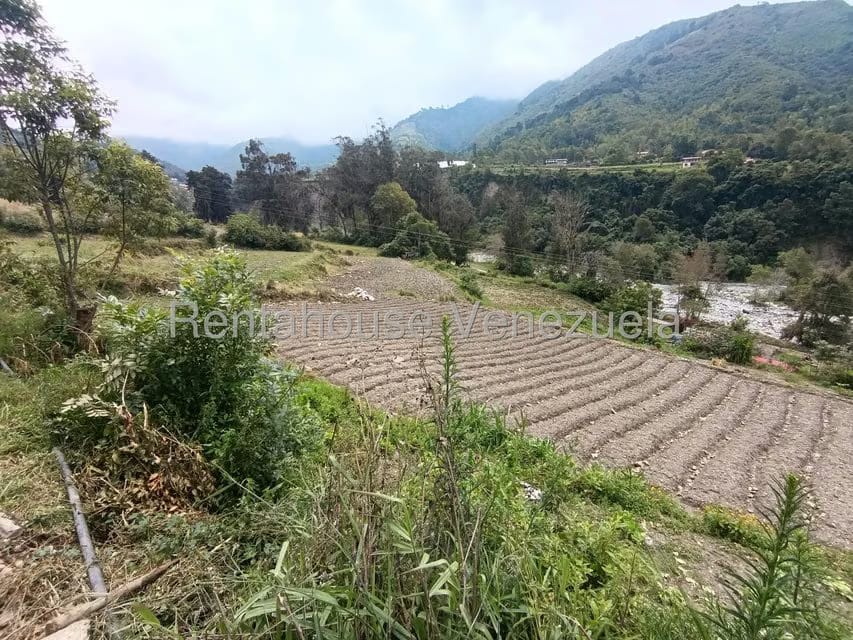 Terreno (Comercial) en Venta en Cacute, Merida - 22