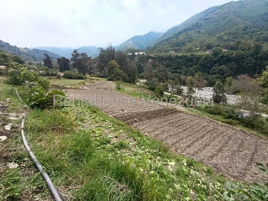 Terreno (Comercial) en Venta en Cacute, Merida - 23