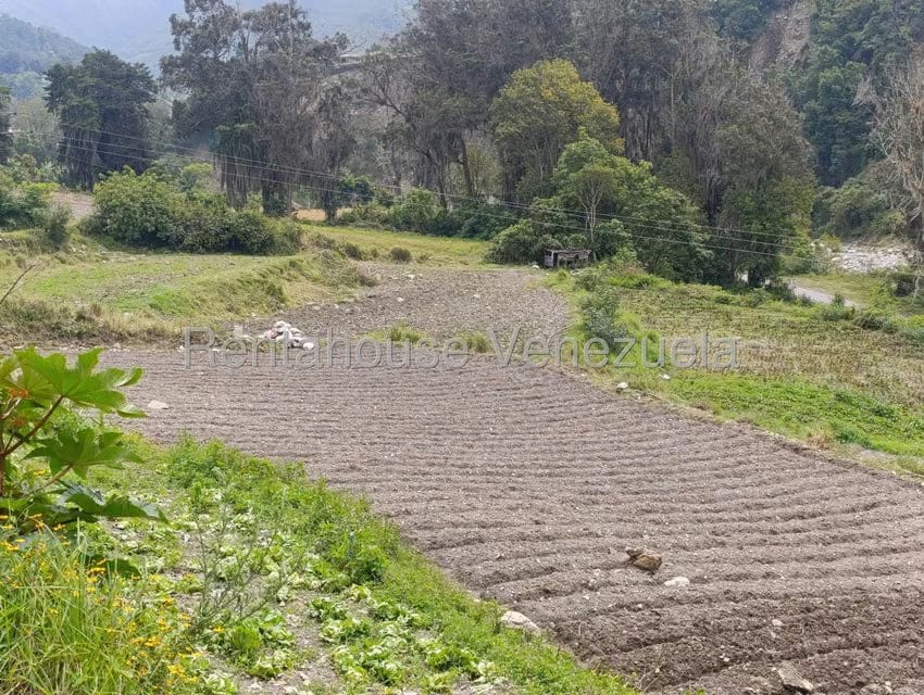 Terreno (Comercial) en Venta en Cacute, Merida - 24