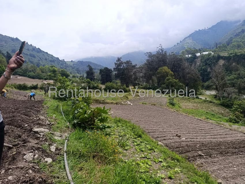 Terreno (Comercial) en Venta en Cacute, Merida - 25