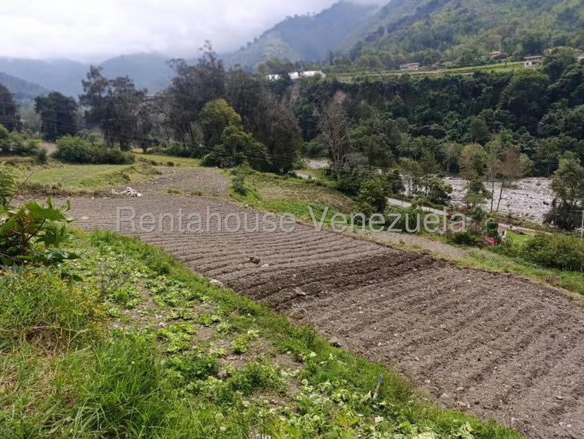 Terreno (Comercial) en Venta en Cacute, Merida - 26