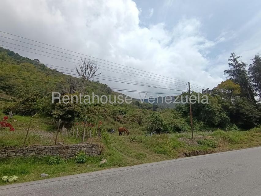 Terreno (Comercial) en Venta en Cacute, Merida - 28