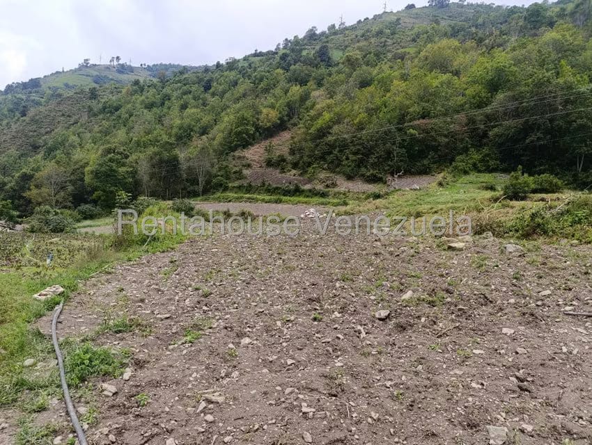 Terreno (Comercial) en Venta en Cacute, Merida - 4