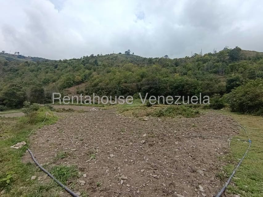 Terreno (Comercial) en Venta en Cacute, Merida - 5