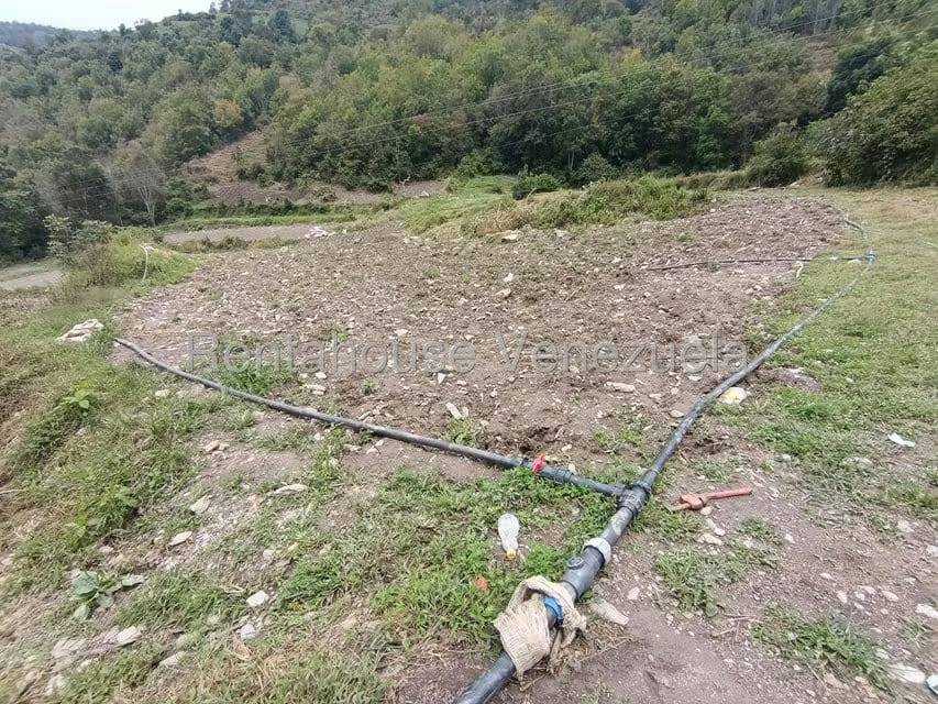 Terreno (Comercial) en Venta en Cacute, Merida - 6