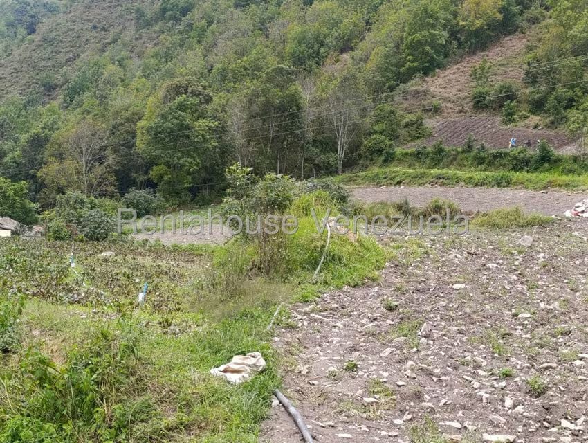 Terreno (Comercial) en Venta en Cacute, Merida - 7