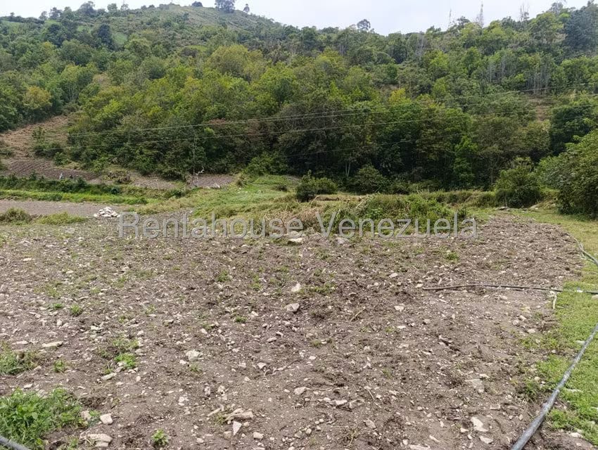 Terreno (Comercial) en Venta en Cacute, Merida - 8
