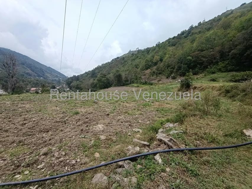 Terreno (Comercial) en Venta en Cacute, Merida - 9