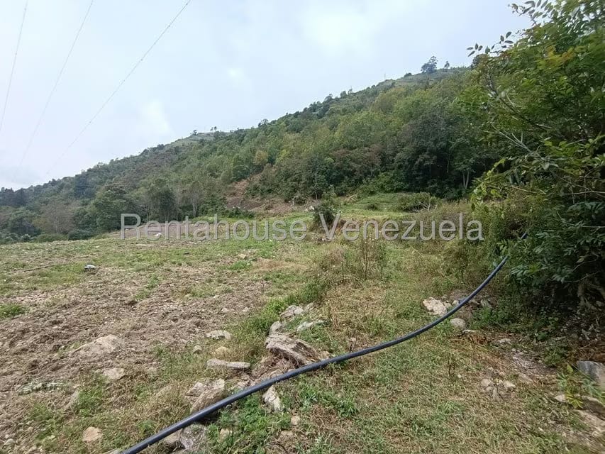 Terreno (Comercial) en Venta en Cacute, Merida - 10