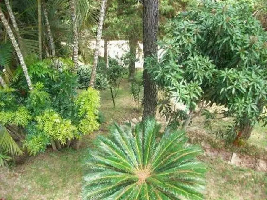 Casa en Venta en Oripoto, El Hatillo Municipio El Hatillo - 26