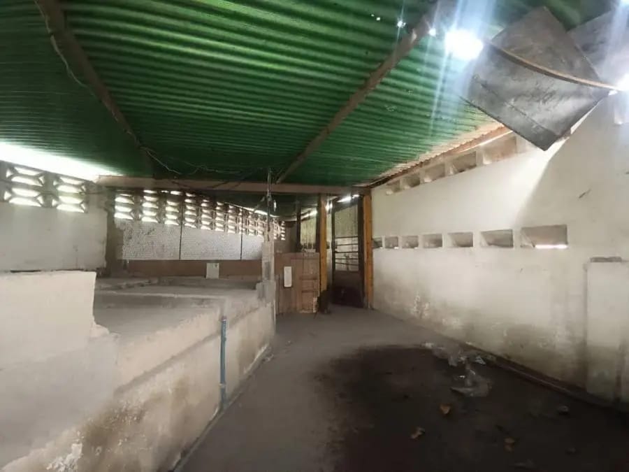 Galpon en Venta en Puerto la Cruz - 7
