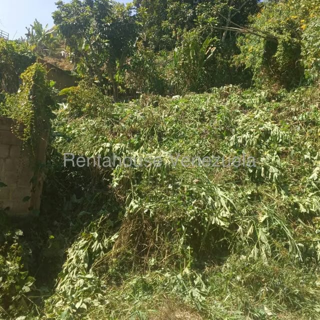 Terreno (Residencial) en Venta en Hoyo de La Puerta, Distrito Metropolitano - 12