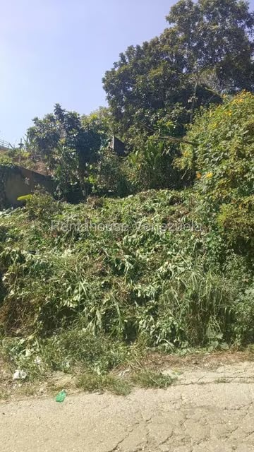 Terreno (Residencial) en Venta en Hoyo de La Puerta, Distrito Metropolitano - 13
