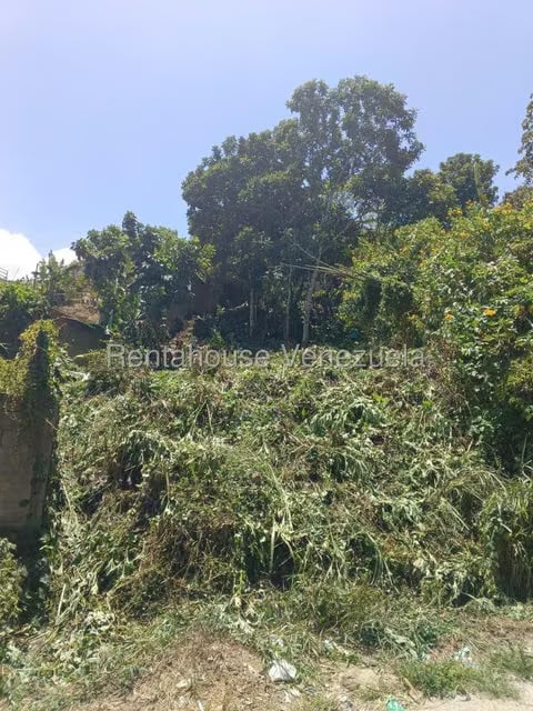 Terreno (Residencial) en Venta en Hoyo de La Puerta, Distrito Metropolitano - 14