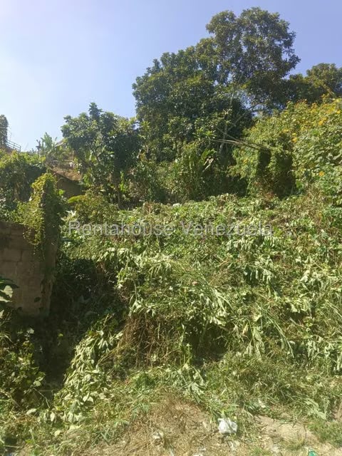Terreno (Residencial) en Venta en Hoyo de La Puerta, Distrito Metropolitano - 15