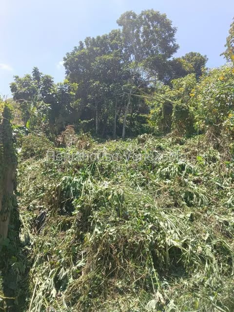 Terreno (Residencial) en Venta en Hoyo de La Puerta, Distrito Metropolitano - 17
