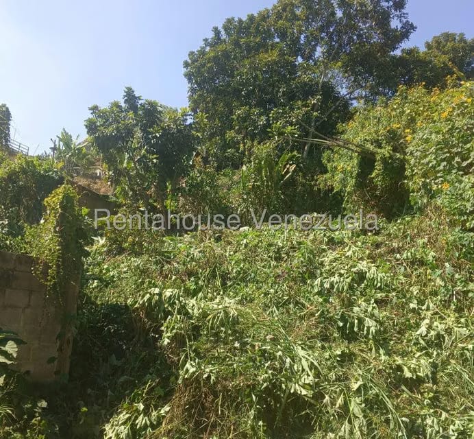 Terreno (Residencial) en Venta en Hoyo de La Puerta, Distrito Metropolitano - 4