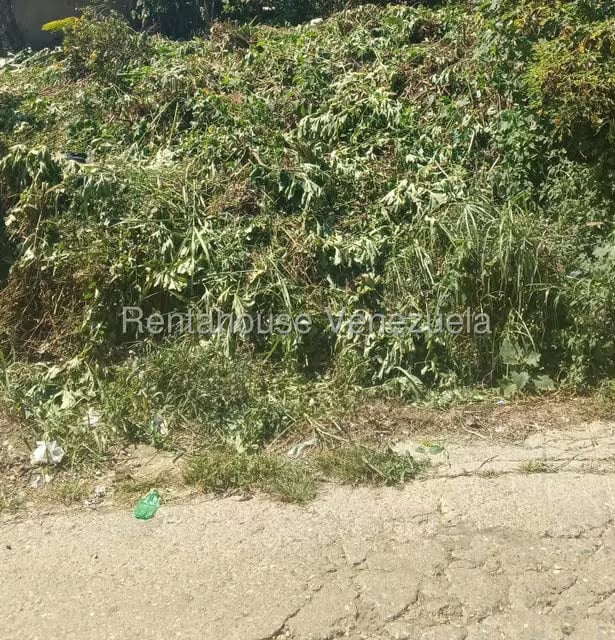 Terreno (Residencial) en Venta en Hoyo de La Puerta, Distrito Metropolitano - 6