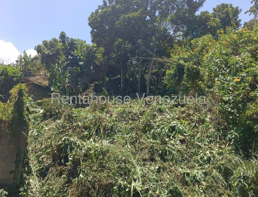 Terreno (Residencial) en Venta en Hoyo de La Puerta, Distrito Metropolitano - 7