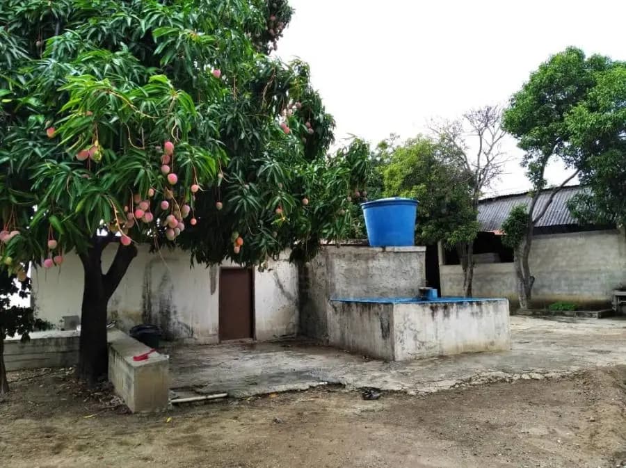 Galpon en Venta en Parroquia Guerrero Ana Soto Barquisimeto - 8