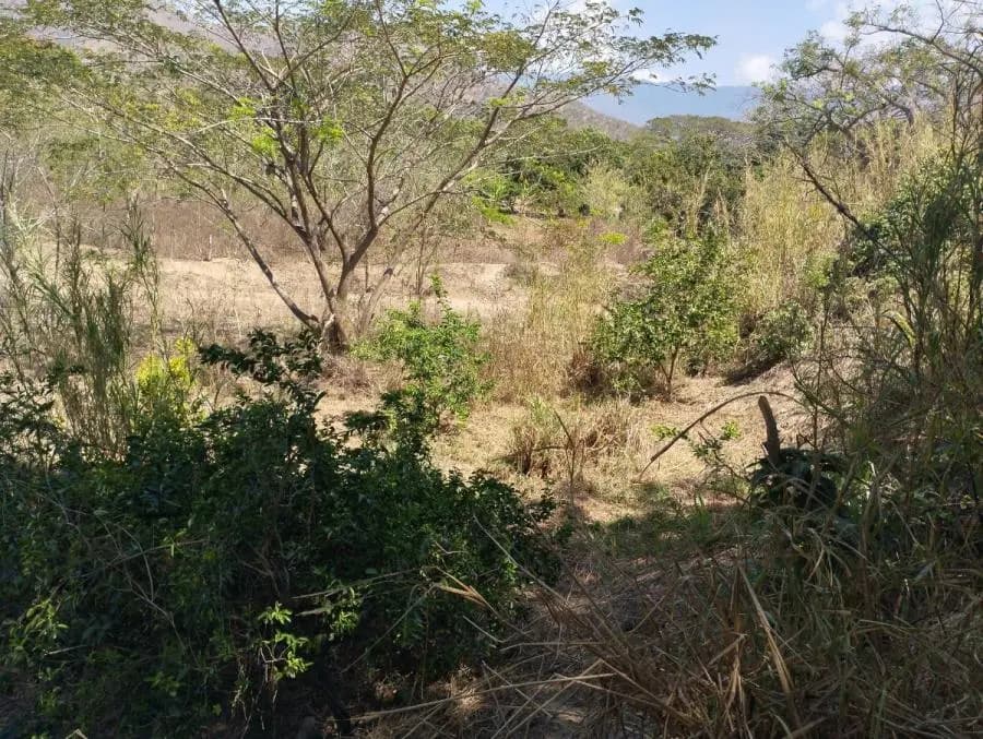 Terreno en Venta en VIGIRIMA Guacara