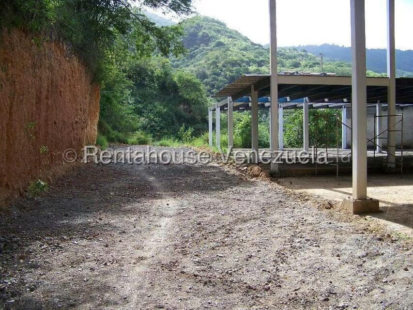 Comercial (Galpon - Deposito) en Venta en Mampote, Miranda - 12