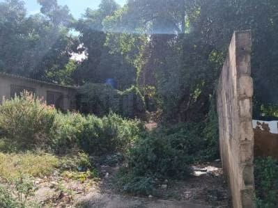 Terreno en venta - 5