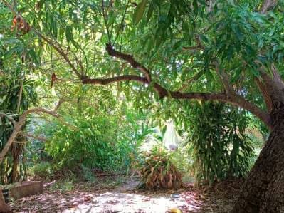 Terreno en venta - 6