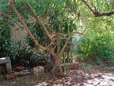 Terreno en venta - 7