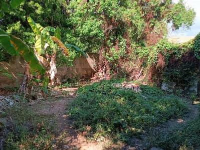 Terreno en venta - 8