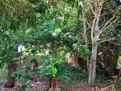 Terreno en venta - 9