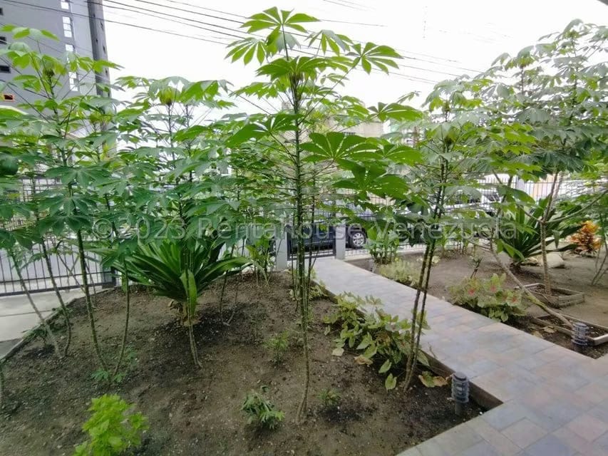 Casa (1 Nivel) en Venta en La Soledad, Aragua - 12